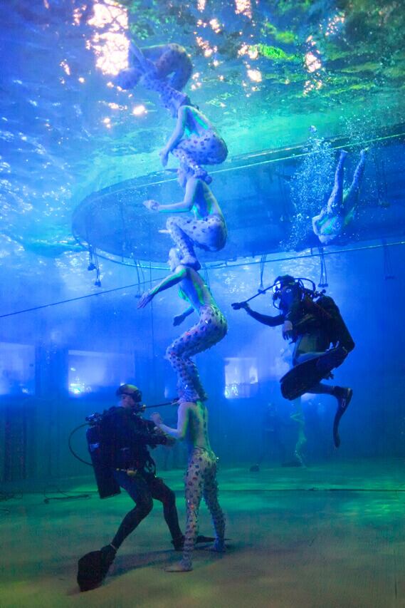 O: The Aquatic - Las Vegas Classic | Cirque du Soleil