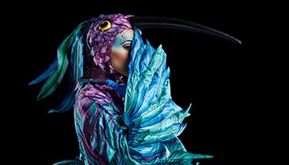 Hummingbird from the show Luzia by Cirque du Soleil