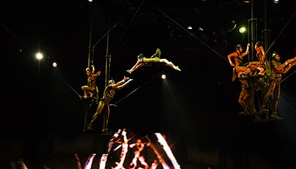Russian Cradle du spectacle OVO du Cirque du Soleil