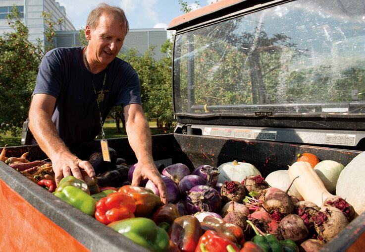 Gardener and vegetables
