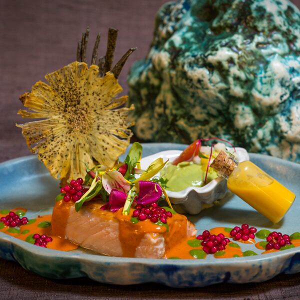 Un repas de saumon accompagné de fleurs est présenté dans une assiette bleue - Cirque du Soleil Riviera Maya
