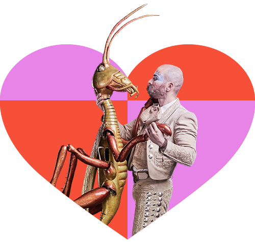 Valentine Day Cirque du Soleil