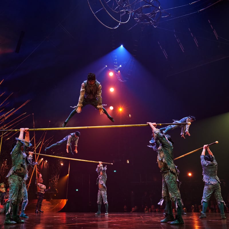 Gymnasts balance on vaulting poles held by porters while flyers perform an aerial ballet - Alegría cirque