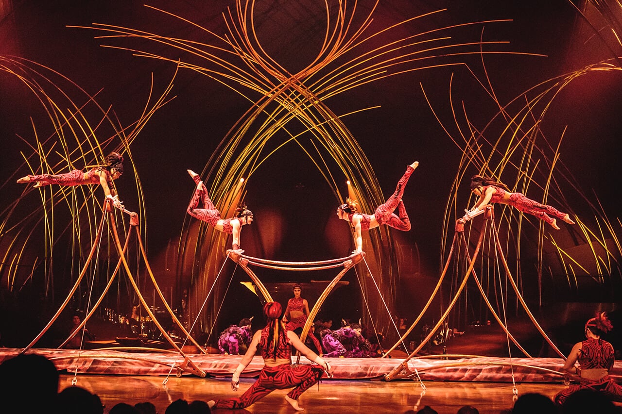 Image result for Cirque Du Soleil: AMALUNA