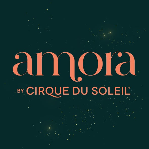 Learn more about AMORA