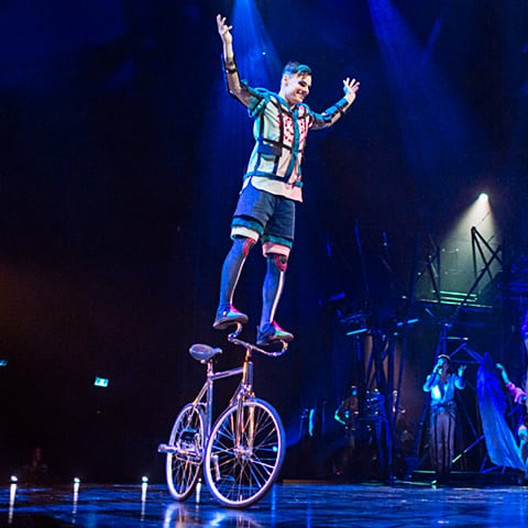 Image result for cirque du soleil bazaar