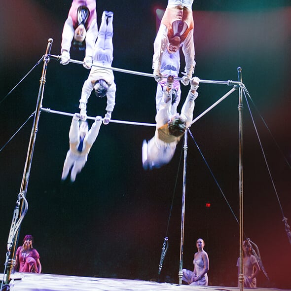 The Tournik act from Corteo
