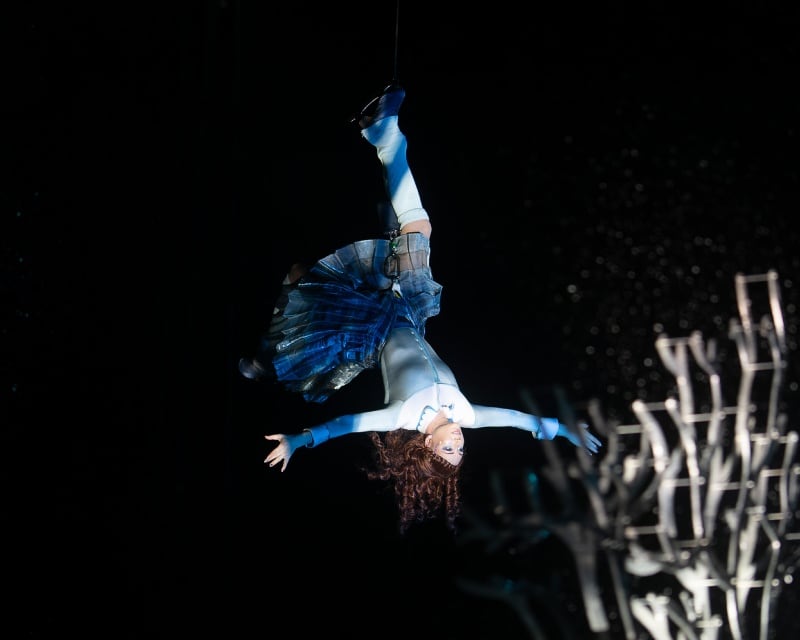 Female acrobat in blue costume hanging upside down from the ceiling.