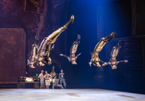 A group of gymnasts in costumes performing flips.