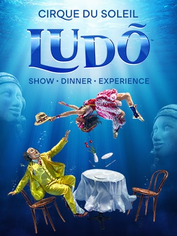 Cirque du Soleil Cape Town - Cirque du Soleil