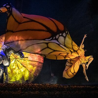 Performer stands upside down during an aerial straps act - Luzia cirque