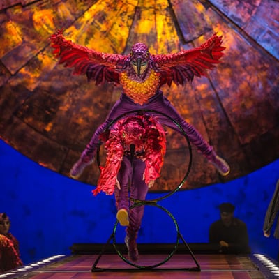 Pájaros de apariencia humana se sumergen en aros chinos - Luzia Cirque du Soleil