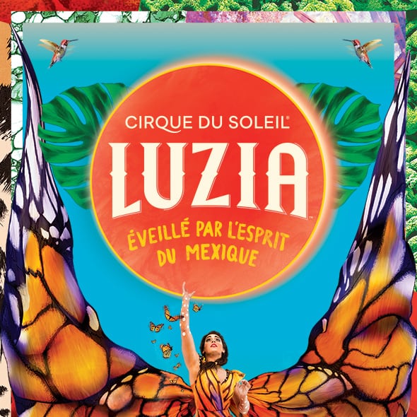 Learn more about LUZIA