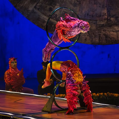 Hoop diving act from the show LUZIA