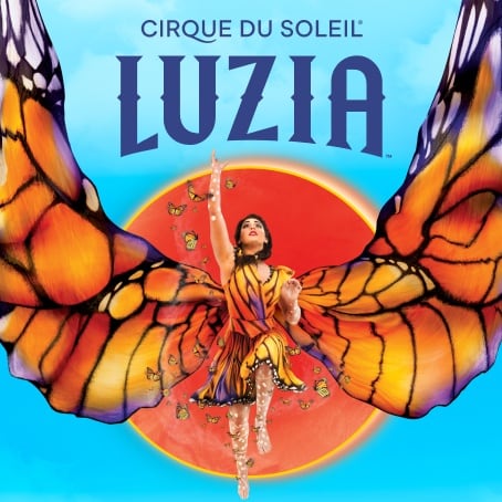 Learn more about LUZIA