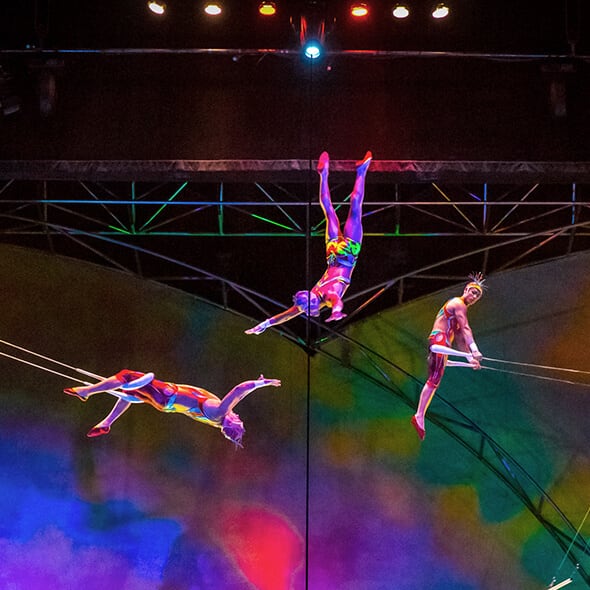 The trapeze act from Mystère