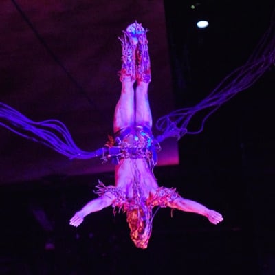 Un acrobate à l'envers accomplit un numéro de bande élastique - Cirque du Soleil Las Vegas