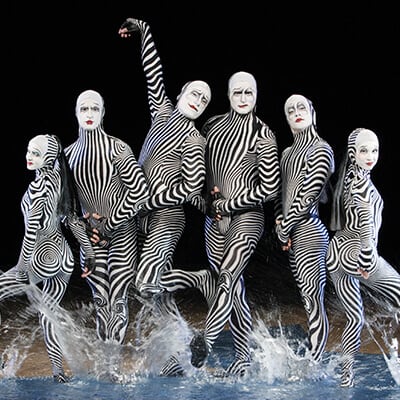 Des artistes vêtus de vêtements à rayures zébrées posent sur une scène couverte d'eau - spectacle O Cirque du Soleil