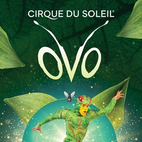 Sacramento hosting Cirque du Soleil's Amaluna through March 1, 2020