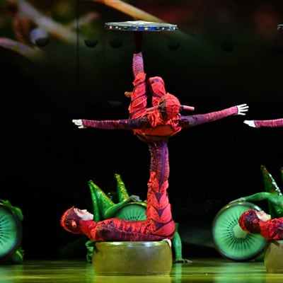 Three pairs of acrobats wearing ant-looking costumes achieve icarian games - Cirque du Soleil OVO