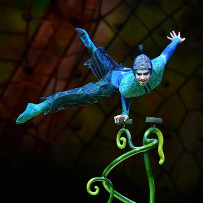 Acróbata vestido como una libélula azul realiza un acto de equilibrio de mano - OVO Cirque du Soleil