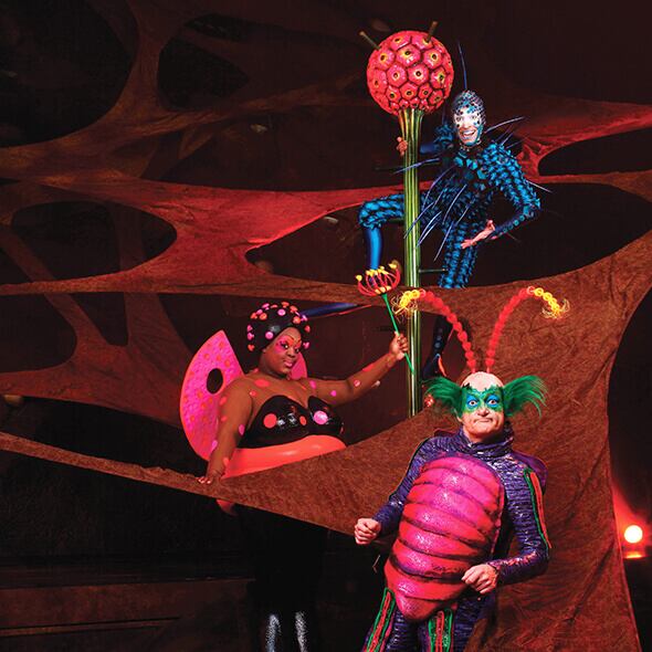 Как выглядит цирк в реальной жизни Groups and Corporate Events for OVO Cirque du Soleil