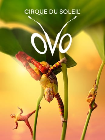 Cirque du Soleil OVO