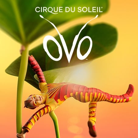 Learn more about OVO