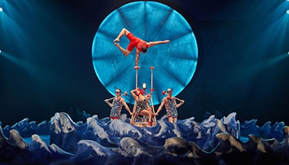 Canes du spectacle Luzia du Cirque du Soleil