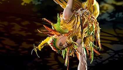 Hand Balancing du spectacle Mystère du Cirque du Soleil