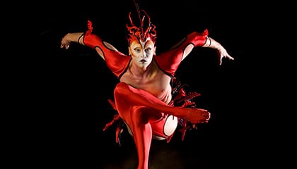 Red Bird from the show Mystère by Cirque du Soleil