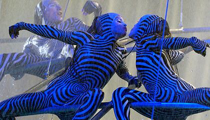 Cadre from the show "O" by Cirque du Soleil