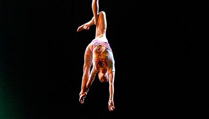 Trapeze from the show "O" by Cirque du Soleil