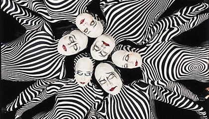 Zebras from the show "O" by Cirque du Soleil