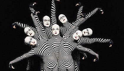 Zebras from the show "O" by Cirque du Soleil