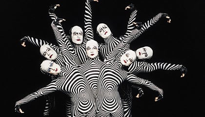 Zebras du spectacle «O» du Cirque du Soleil