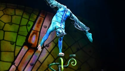 Hand Balancing from the show OVO by Cirque du Soleil