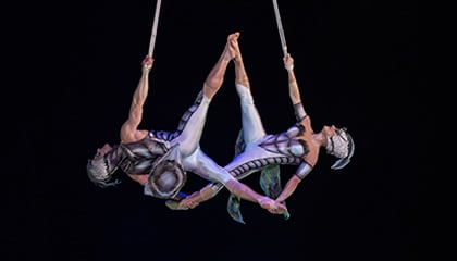 Aerial Straps du spectacle OVO du Cirque du Soleil