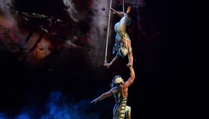 Aerial Straps from the show OVO by Cirque du Soleil