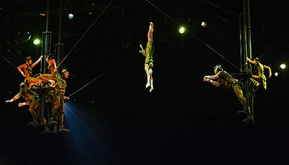 Russian Cradle du spectacle OVO du Cirque du Soleil