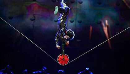 Slack Wire from the show OVO by Cirque du Soleil