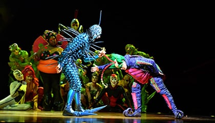 Group shots from the show OVO by Cirque du Soleil
