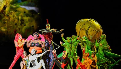 Group shots from the show OVO by Cirque du Soleil