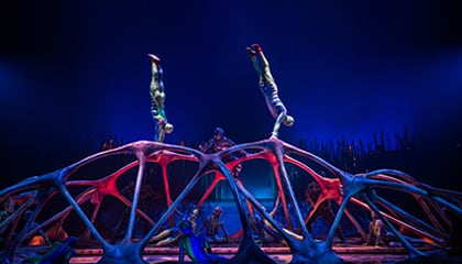 Carapace du spectacle Totem du Cirque du Soleil