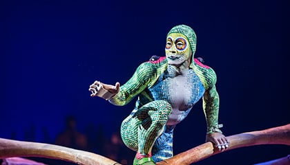 Carapace from the show Totem by Cirque du Soleil