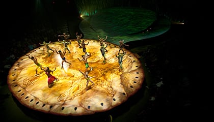 Finale from the show Totem by Cirque du Soleil
