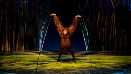 Monkey Business from the show Totem by Cirque du Soleil