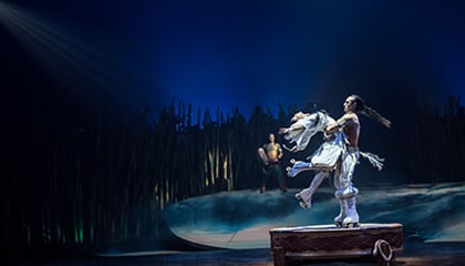 Roller Skate du spectacle Totem du Cirque du Soleil