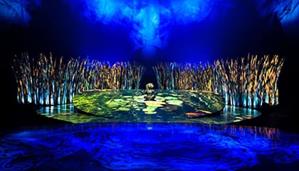 Set Design from the show Totem by Cirque du Soleil