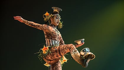 Unicycle from the show Totem by Cirque du Soleil